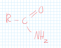 <p>A functional group consisting of carbon, double bonded oxygen, and an amine.</p>