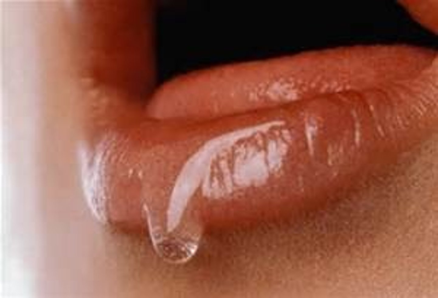 <p>chemical used to break down the remains of plants, animals, and wastes.</p>