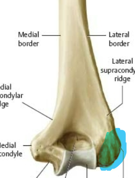 small, non-articular, lateral ridge