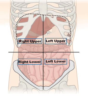 <p>ALWAYS BASED ON THE PATIENTS RIGHT AND LEFT, NOT YOURS</p>