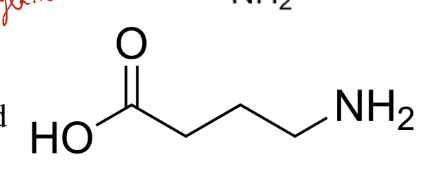 inhibitory

* decarboxylation from glutamic acid