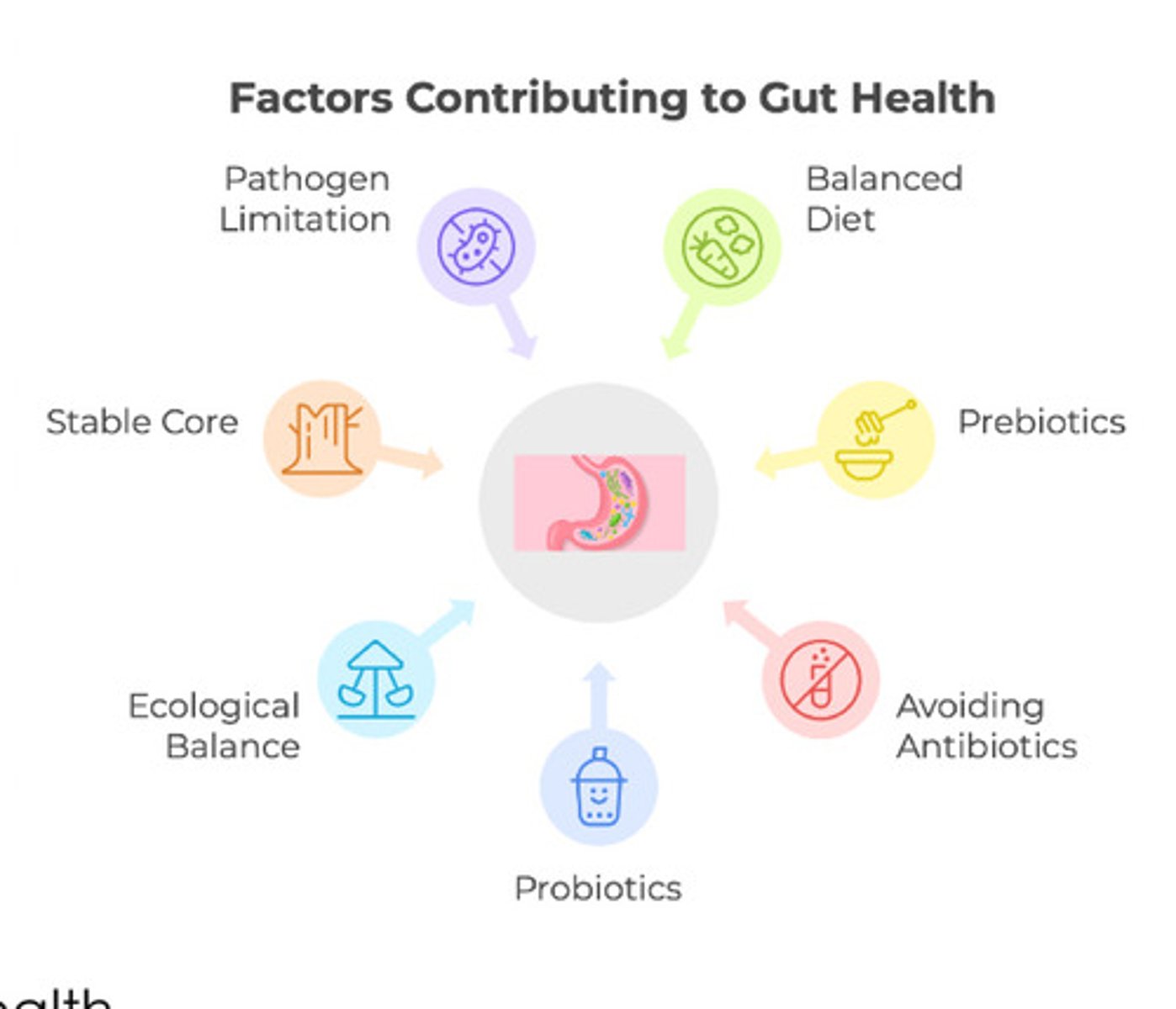 <p>Здоровий кишечник</p>