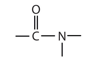 <p>R-C=O-N</p>
