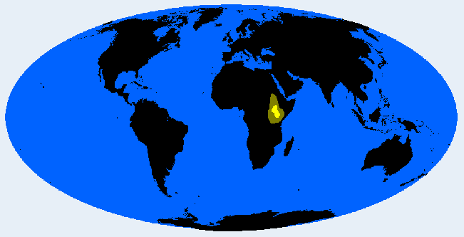 <p>Nilo Hamitic (Ethiopid, Nilotid)</p>
