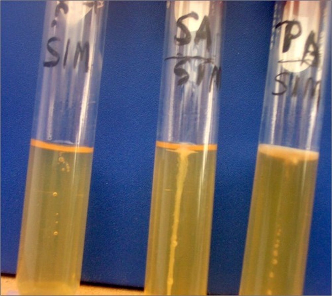 <p>This is an example of a</p>