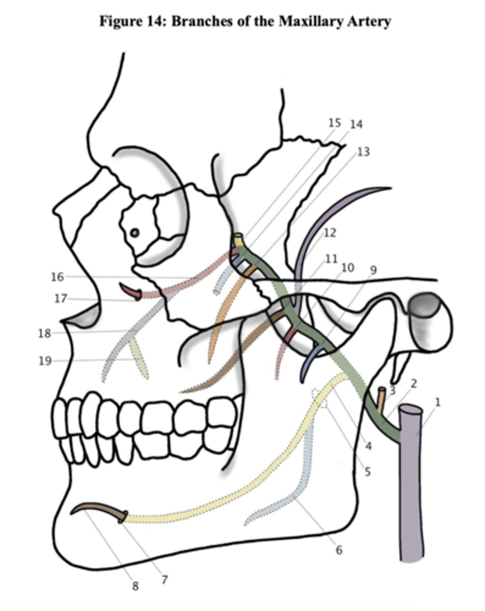 <p>Describe structure #18.</p>