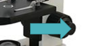 <p>What is the part of the microscope? What is its function?</p>