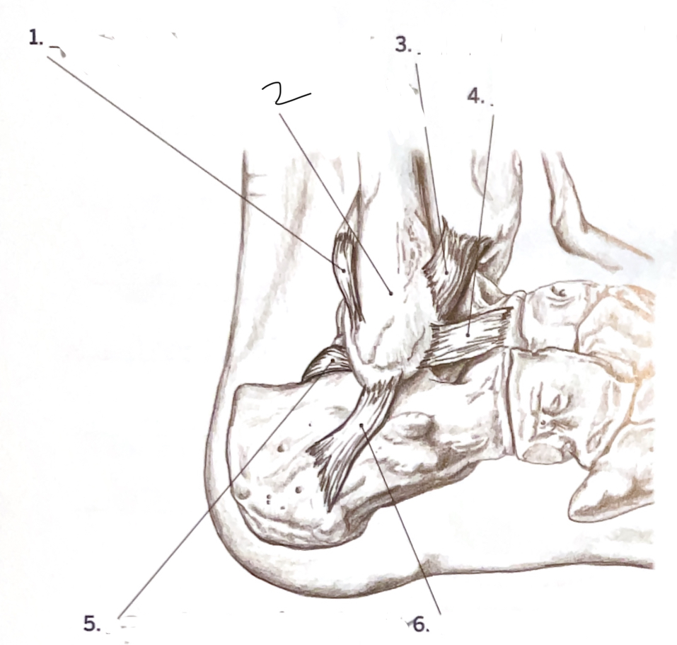 <p>2</p>