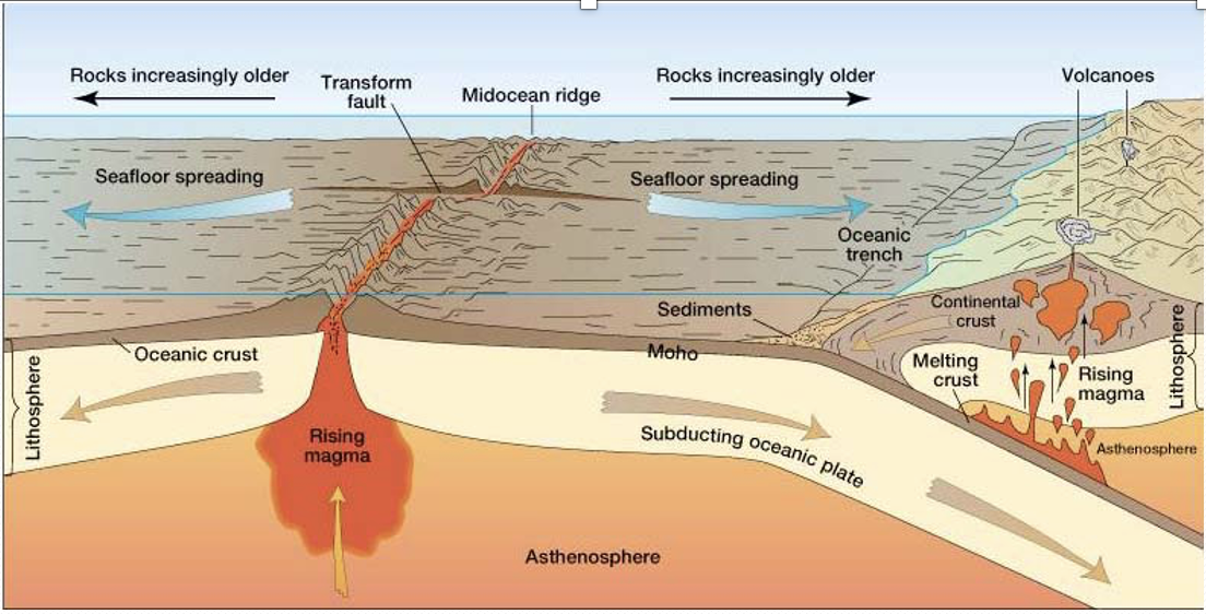 <p><span>Earthquakes associated with:</span></p><p><span>-Plate boundaries (subduction zones, mid-oceanic ridges, transform faults)</span></p><p><span>-Active Faults or faults that show movement over the last 10,000 years</span></p>