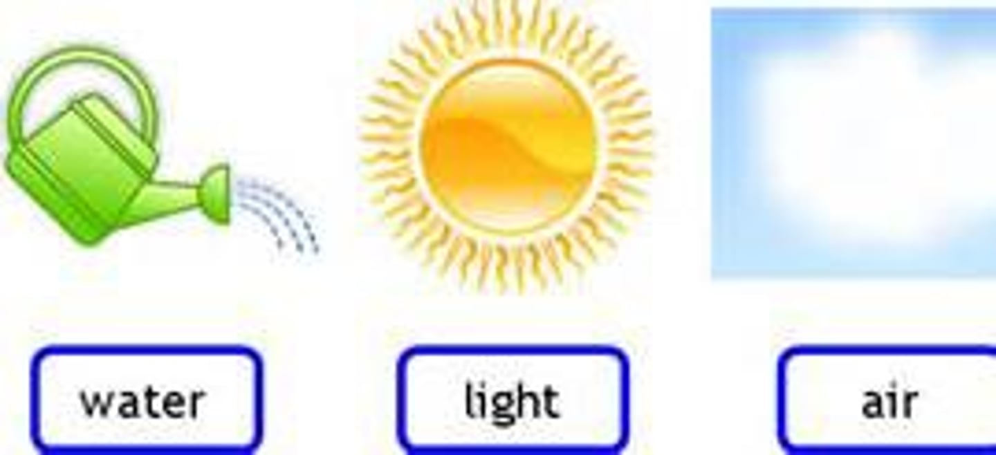 <p>một phần không thể thiếu trong cuộc sống của mọi người</p>