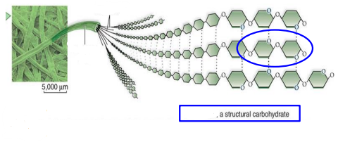 <p>what is this?</p>