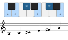 <p>What scale is this?</p>