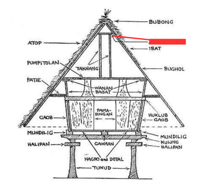 term image