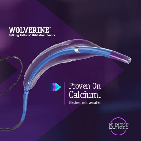 <p><strong>WOLVERINE<span data-name="tm" data-type="emoji">™</span></strong></p>