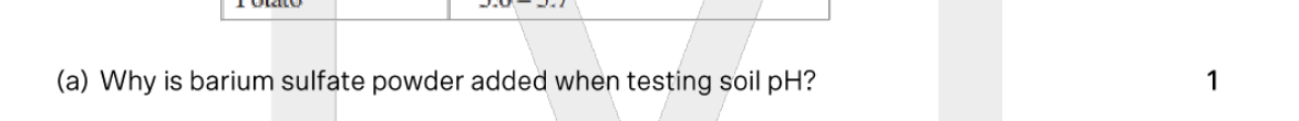 term image
