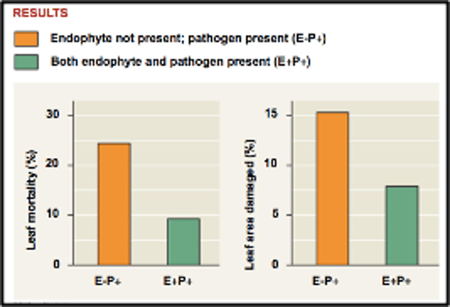 <p>The presence of the endophyte in the presence of the pathogen helps offset leaf mortality for Cacao plants.</p>