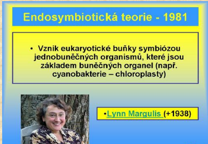 <ul><li><p>2. Biologická evoluce , Učebnice str. 353</p></li><li><p>• souvisí se vznikem genetického kódu, schopnosti autoreplikace</p></li><li><p>• vznik prabuněk a pravých buněk</p></li><li><p><strong>Probionta</strong> (předchůdci organismů - RNA) -></p></li><li><p><strong>Protobionta </strong>(vznik DNA tzv.-reverzní transkripcí)</p><ul><li><p>vznik prabuněk = protobiontů (první organismy)</p></li><li><p>- obsahují jednu celistvou molekulu RNA</p></li><li><p>- vývoj ve vodě (ochrana před UV), stavba jednoduchá</p></li><li><p>- před 3,5 mld. let, anaerobní, heterotrofní -></p></li></ul></li><li><p><strong>Praorganismy </strong>(Eobionta – anaerobněheterotrofní) -></p></li><li><p><strong>Prokaryota </strong>(fotoautotrofie)</p><ul><li><p>- (3 mld. let) – využití světelné energie</p></li><li><p>– vznik molekulárního kyslíku, který se dostává do atmosféry</p></li><li><p>– rozvoj aerobních organismů (2,5 mld. let, <strong>potomci dnešních sinic</strong> -ozónová vrstva –↑20-30 km -></p></li></ul></li><li><p><strong>Eukaryota </strong>(endosymbióza – 2 mld.let, 1,2 mld)</p><ol><li><p>• → vznik eukaryotické buňky ( 2 mld. let)</p></li><li><p>→ teorie endosymbiózy =</p></li><li><p>- pohlcení menší aerobní prokaryotické buňky</p></li><li><p>větší buňkou →</p></li><li><p>vznik mitochondrií</p></li><li><p>- pohlcení fotoautotrofní buňky</p></li><li><p><span style="color: red">→ <strong>vznik plastidů (chloroplastů)</strong> (1,2 mld.let)</span></p></li><li><p><span style="color: red"><strong>(vlastní genetic.informace a vlastní ribozomy)</strong></span></p></li><li><p>• → vznik mnohobuněčných organismů</p></li><li><p>(0,7 mld. let)</p></li></ol></li><li><p></p></li><li><p></p></li><li><p></p></li><li><p></p></li><li><p>• Z eobiont vznikla prokaryot. b.</p></li><li><p>dokonalá replikace,</p></li><li><p>proteosyntéza</p></li><li><p>Vývoj se odehrával ve vodě</p></li><li><p>Centrální význam v procesu vzniku života má proteosyntéza založená na existenci genetického kódu</p></li></ul><p></p>