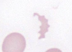 <p>What is this?</p>