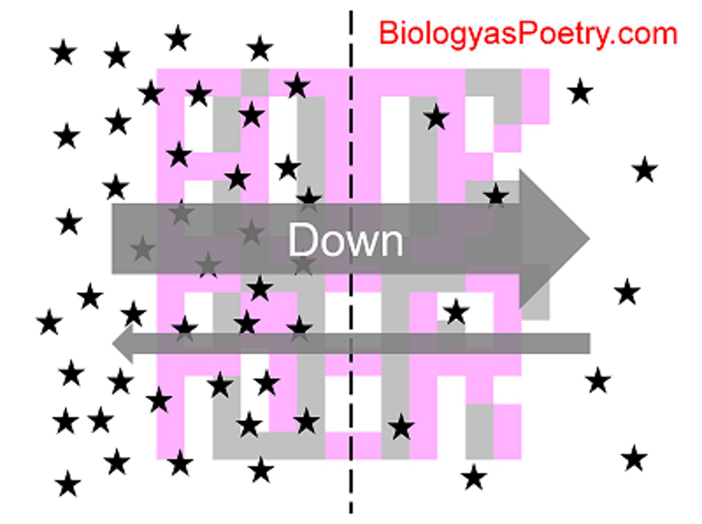 <p>A force pushing molecules from areas of high concentration to areas of lower concentration</p>