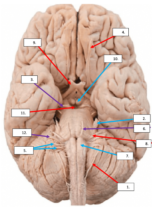 <p>9</p>