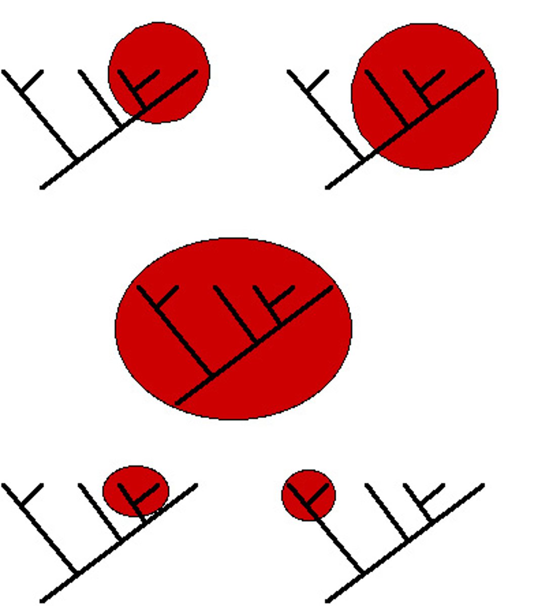 <p>1) monophyletic </p><p>2) paraphyletic </p><p>3) polyphyletic</p>