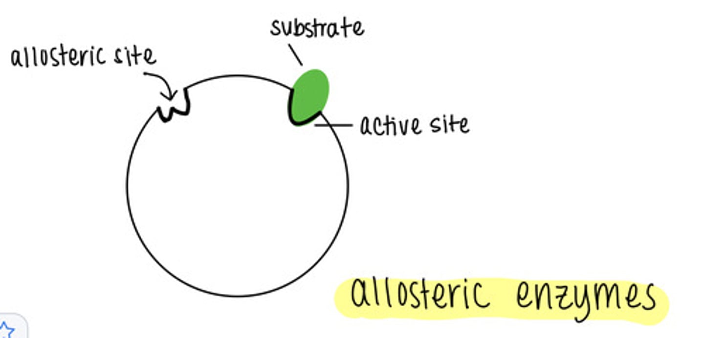 <p>a different location that is not the active site of enzyme catalysis</p>