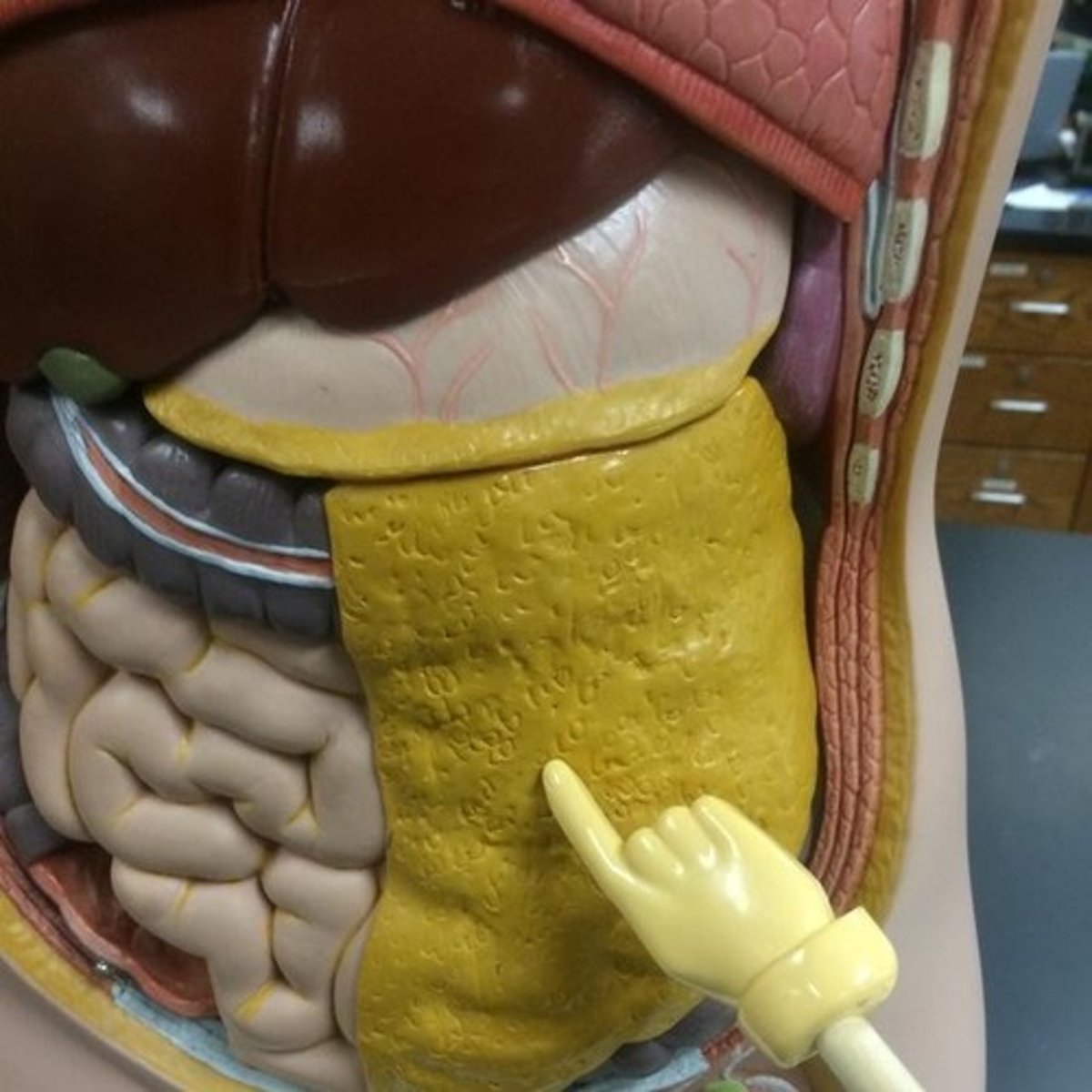 <p>yellow</p>