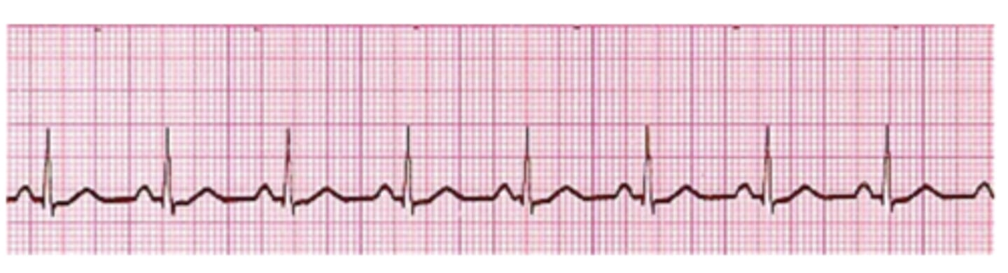 <p>What is this?</p>