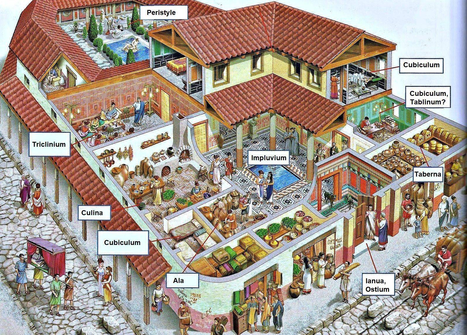 <p>geef de naam en functie?</p>