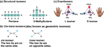 <p>Isomers</p>