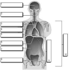 <p>6</p>