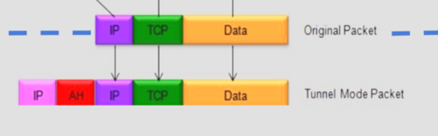 <p>Authenticates the entire original IP packet and adds new outer IP header</p>