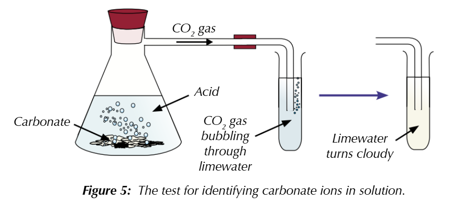 <ol><li><p>Add dilute HCl acid to the unknown solution &amp; if carbonate ions are present, the solution will fizz (effervescence)</p></li><li><p>The carbonate ions react with the hydrogen ions in the acid to make carbon dioxide</p><ul><li><p>CO<sub>3</sub><sup>2- </sup>(aq) + 2H<sup>+</sup> (aq) → CO<sub>2</sub> (g) + H<sub>2</sub>O (l)</p></li></ul></li><li><p>Carbon dioxide can be tested using limewater → bubble the gas through a test tube of limewater &amp; if the limewater goes cloudy, the solution contains carbonate ions</p></li></ol><p></p>