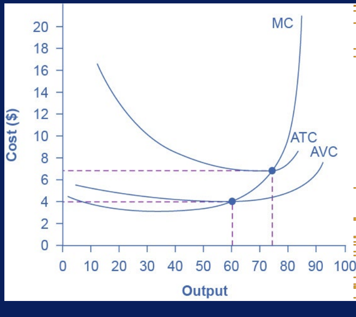 <ul><li><p>variable cost/qty of output</p></li><li><p>at any level of output, ? curve will always lie below the avg total cost curve</p></li><li><p>typically U shaped</p></li></ul><p></p>