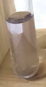 <p>What are present in the test tube?</p>