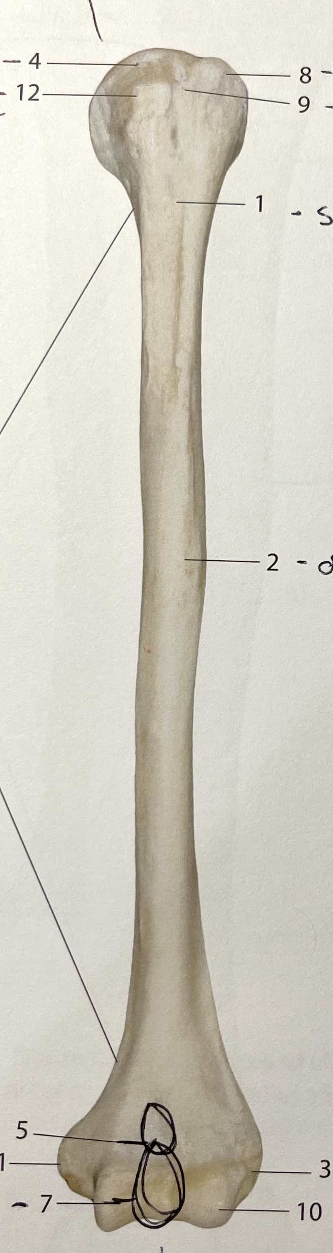<p>#1</p>