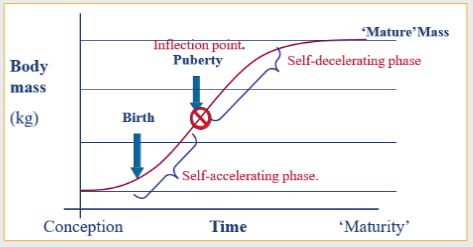 <p>Puberty: dependant on body mass and fatness</p><p></p><p><span>Puberty occurs exactly at the inflection point of the growth curve, meaning it is triggered when an animal reaches a specific milestone in body mass.</span></p><p><span data-name="chart_increasing" data-type="emoji">📈</span><span> Growth Phases & Puberty</span></p><ul><li><p><span><strong>Self-accelerating phase</strong>: Growth rate increases rapidly after birth.</span></p></li><li><p><span style="color: purple;"><strong>Inflection point (Puberty)</strong>:</span><span> Growth rate reaches its absolute maximum speed.</span></p></li><li><p><span><strong>Self-decelerating phase</strong>: Growth slows down toward mature weight.</span></p></li></ul><p></p><p><span data-name="cut_of_meat" data-type="emoji">🥩</span><span> Connection to Body Condition</span></p><ul><li><p><span><strong>Mass threshold</strong>: Puberty cannot start without reaching a critical body mass.</span></p></li><li><p><span><strong>Fatness trigger</strong>: Adequate body fat stores signal the brain that energy is sufficient for reproduction.</span></p></li><li><p><span><strong>Gating mechanism</strong>: The inflection point represents this ideal nutritional and physical readiness.</span></p></li></ul><p></p>