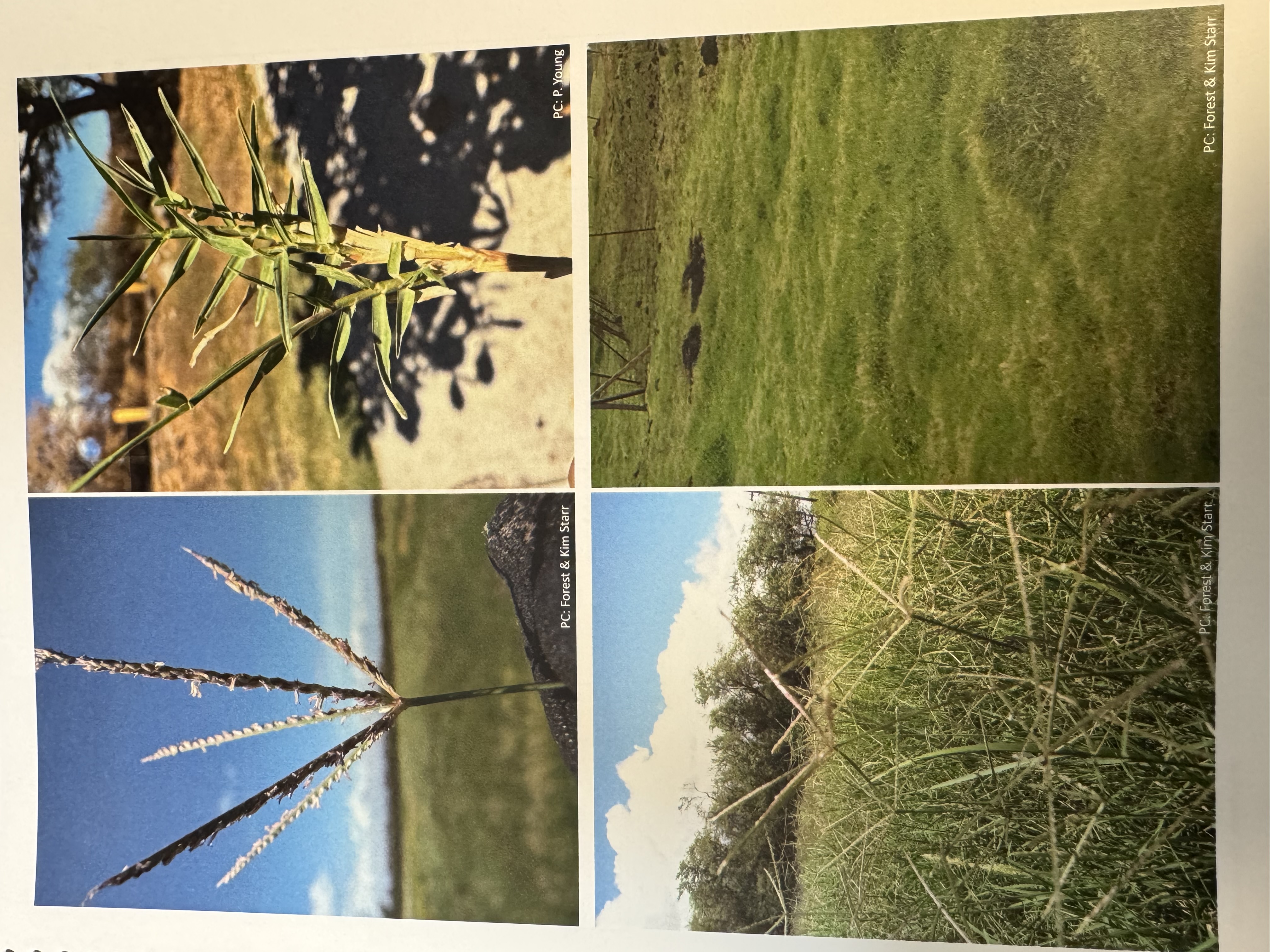 <img src="blob:null/fb81367f-321d-43bd-8148-b3305aefc1e1"><p></p>