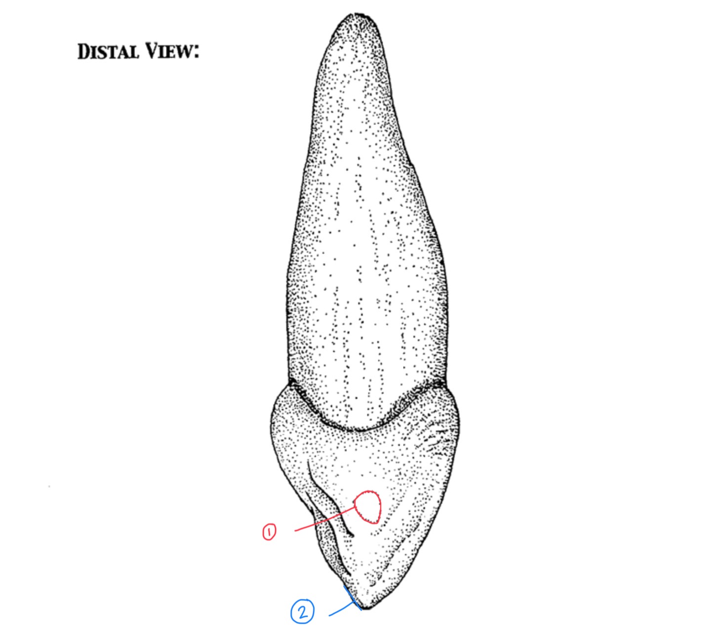 <p>Name #1</p>