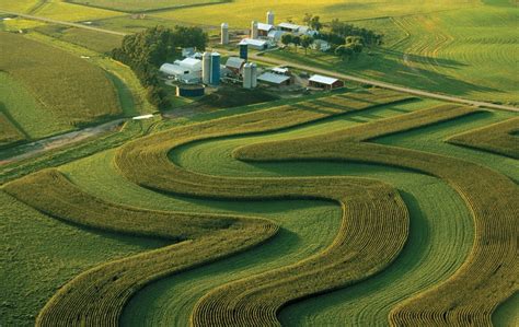 <ul><li><p>long term crops: don’t need frequent replanting = less soil disturbance, better cover. grassland, tree crops</p></li><li><p>zero-tillage cult䷂ivation: less soil disturbance as seeds drilled directly into the soil</p></li><li><p>contour ploughing: at 90° to slope - disrupts water flow - soil deposited in furrows</p></li><li><p>terracing - prevents erosion from heavy rain on steep hillssss</p></li><li><p>windbreak like at the beach it stops the elements <span data-name="ok_hand" data-type="emoji">👌</span></p></li></ul><p></p>