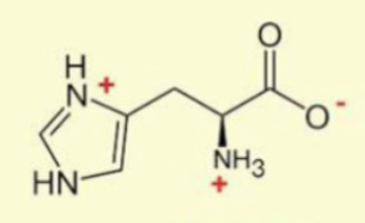 <p>house with a wreath on the chimney and a door on the left</p>