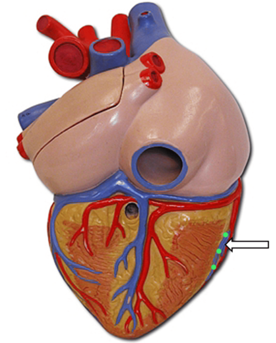 <p>name the structure</p>