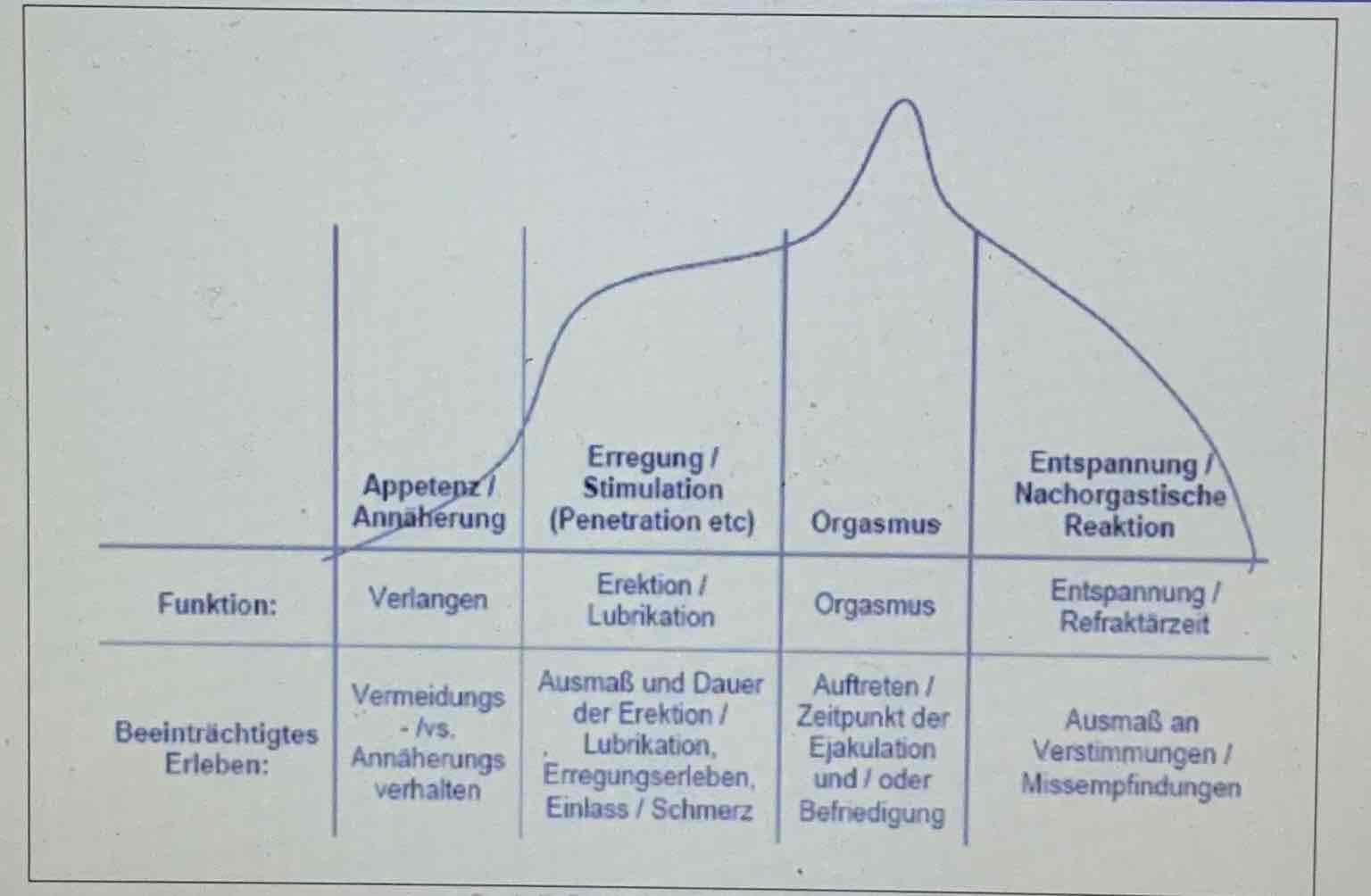 <p>Vier-Phasen-Modell nach Masters &amp; Johnson (1967)</p><ul><li><p>Appetenz/Annäherung</p></li><li><p>Erregung/Stimulation</p></li><li><p>Orgasmus</p></li><li><p>Entspannung/nachorgastische Reaktion</p></li></ul>