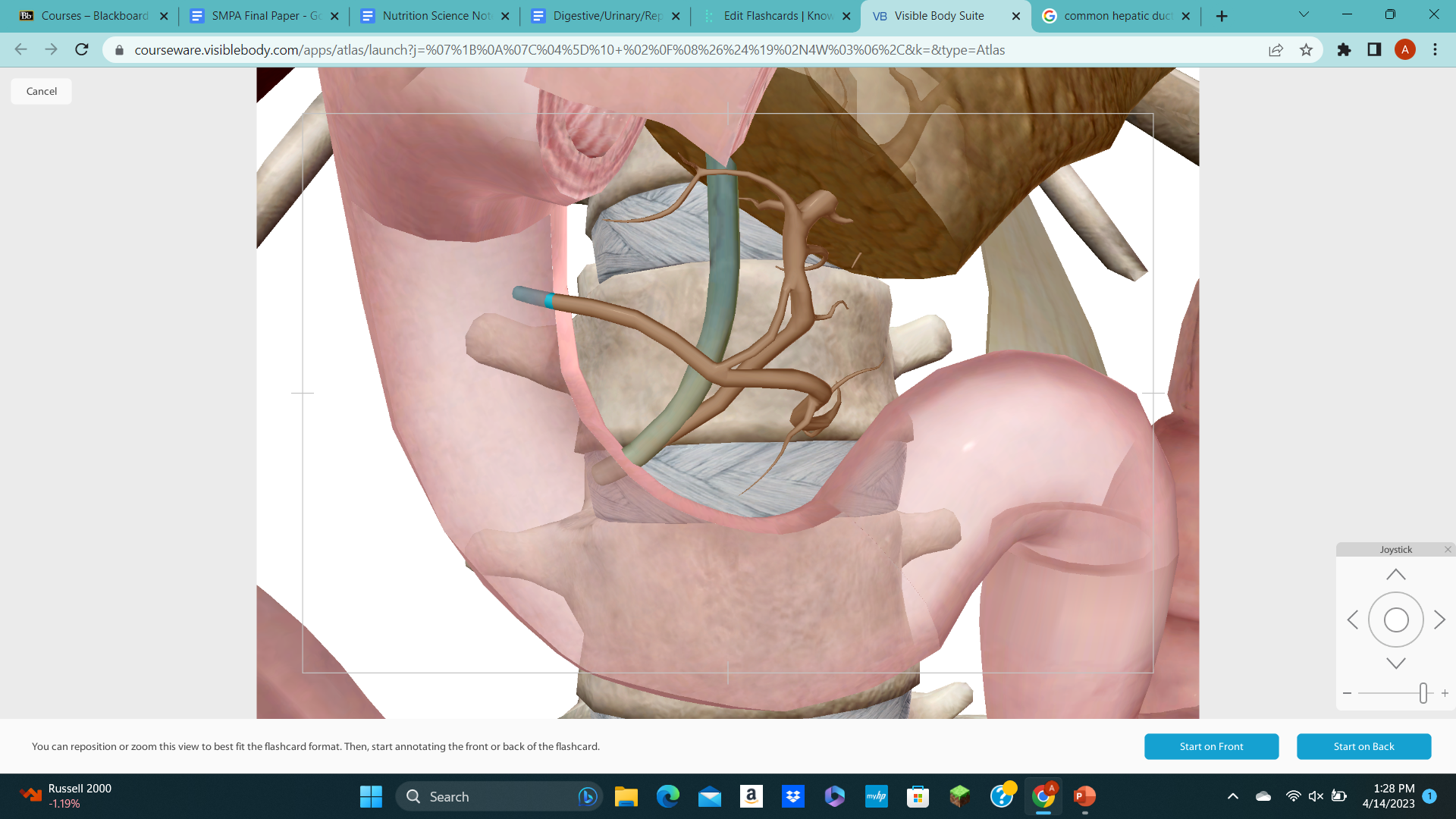 knowt flashcard image