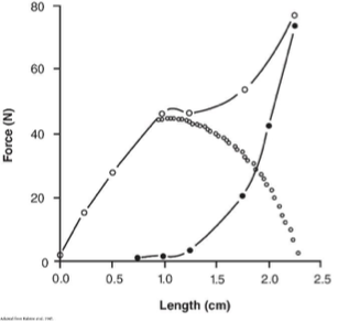 <p><span style="background-color: transparent;"><span>SEC and PEC contribute additional passive and elastic force </span><strong><span>when the muscle–tendon unit is stretched beyond optimal fiber length</span></strong></span></p><ul><li><p><span style="background-color: transparent;"><span>When the contractile component is becoming inefficient (when lengthened), there is an increased contribution from the elastic components</span></span></p></li><li><p><span style="background-color: transparent;"><span>Strengthening the elastic components requires training in lengthened position (however, be careful training in lengthened position to prevent injury, as the tendons take longer to adapt than the muscles)</span></span></p></li></ul><p></p>