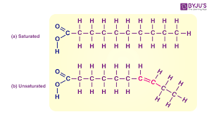 <p>Unsaturated fatty acid</p>