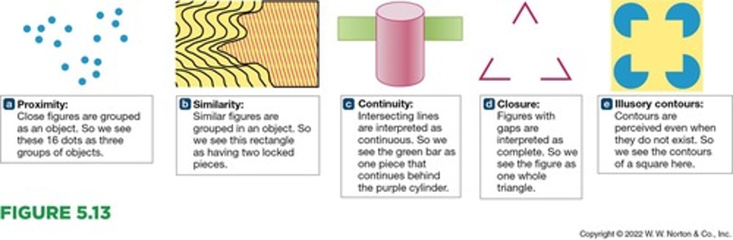 <p>A psychological approach that postulates laws to explain how our brains group perceived features of a visual scene into organized wholes.</p>