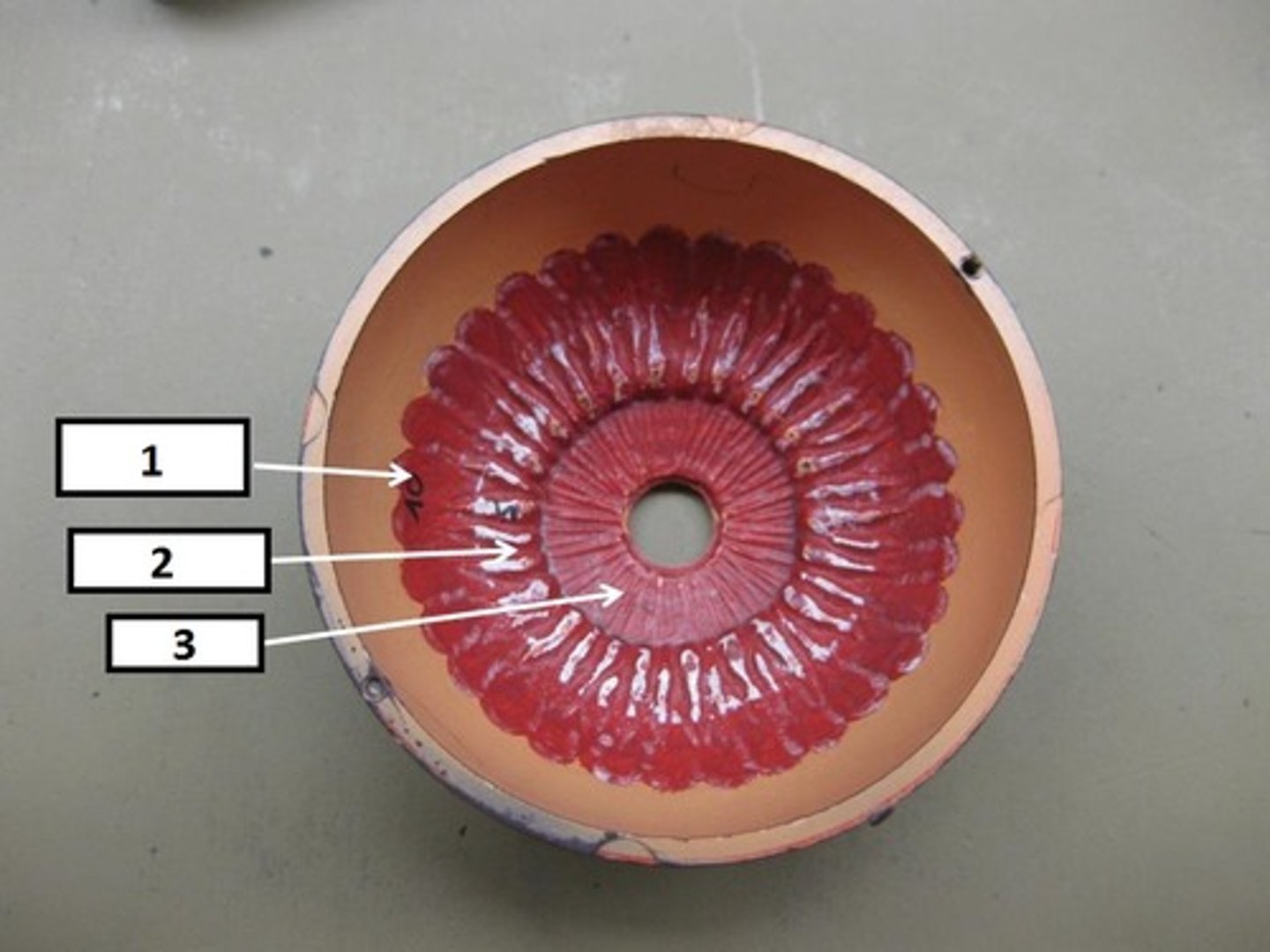 knowt flashcard image