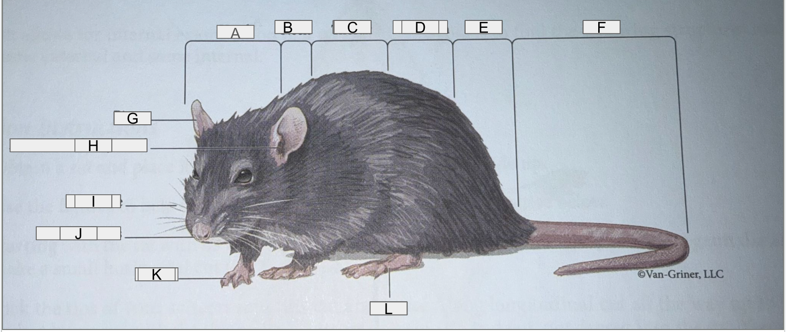 <p>What is D pointing at?</p>