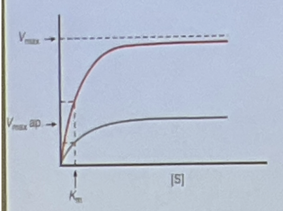 <p></p>